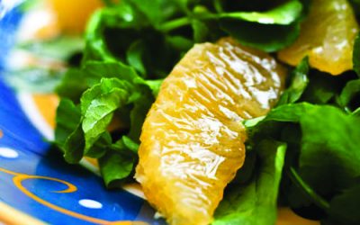 BBQ Chicken Kebabs with a Radish, Orange & Watercress Salad