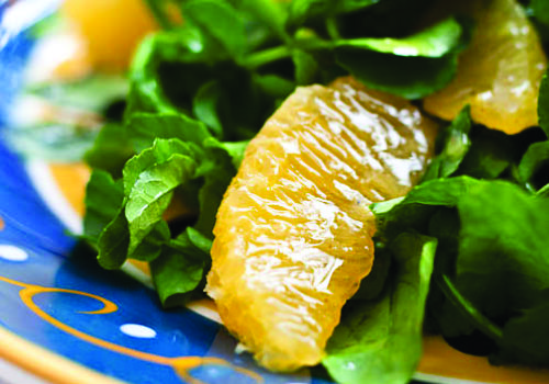 BBQ Chicken Kebabs with a Radish, Orange & Watercress Salad