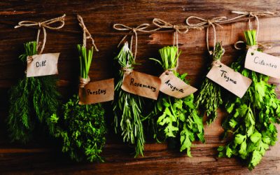 How to dry your own herbs