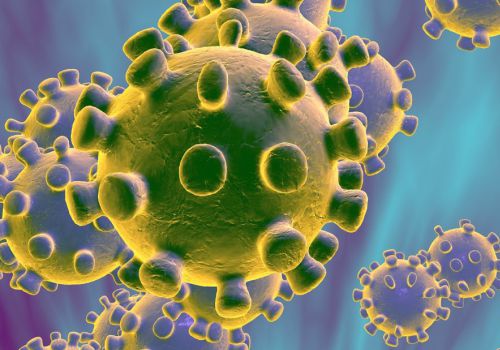 The Corona Virus… Should I worry?