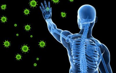 Your Immune System Action Plan