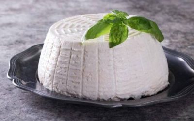 How to make Ricotta Cheese at Home